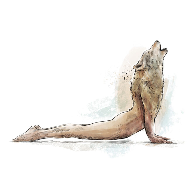 Yoga Poses Lobo